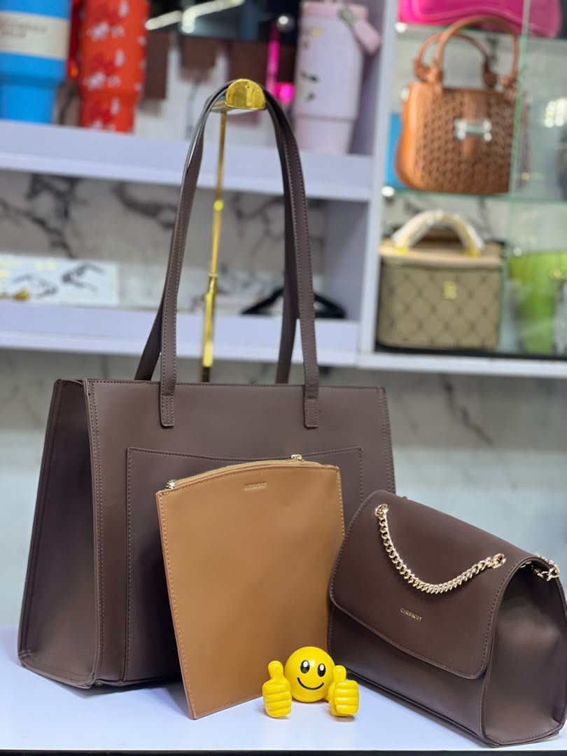 3_ in_1 professional Tote bag set