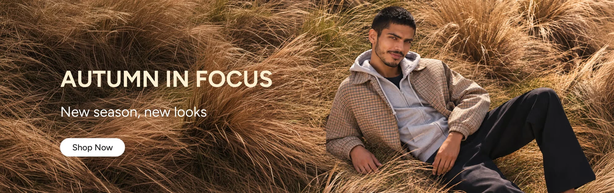 Promotional banner